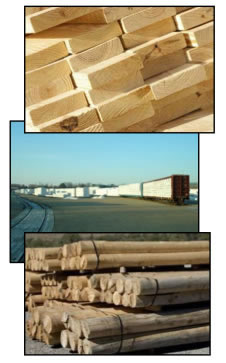 wlerwy-lumber-pic